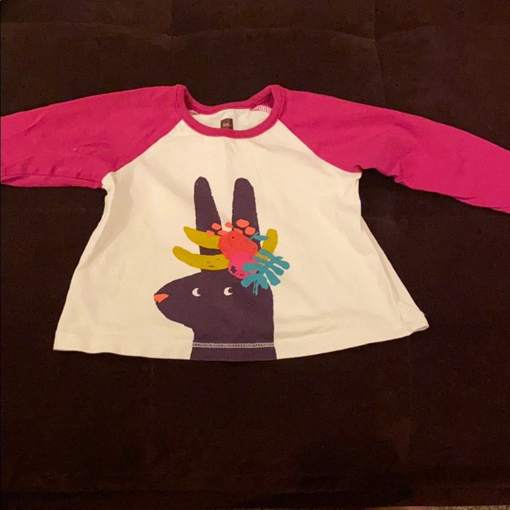 Tea Collection Fruit Bunny Raglan Graphic